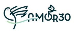 amor30 logo